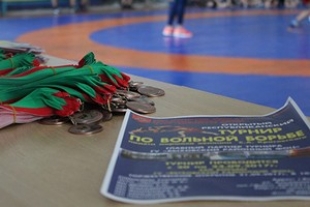Более 500 участников собрал в Быхове турнир по вольной борьбе