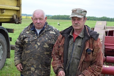 В ОАО «Володарский» ведут укос люцерны и сурепицы на зеленый корм для общественного поголовья
