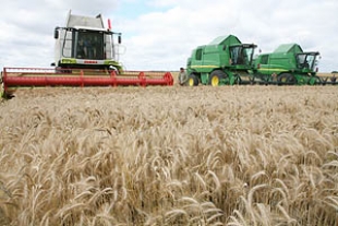 Белорусские аграрии намолотили более 2 млн т зерна