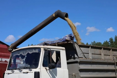 В ОАО &laquo;Новобыховский&raquo; уже приступили к уборке озимого рапса и овса