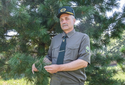 Лесные хранители