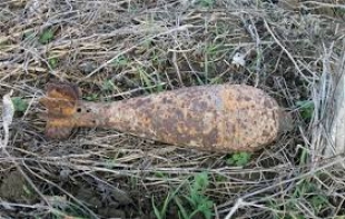 В Быховском районе на огороде пенсионер обнаружил минометную мину времен ВОВ