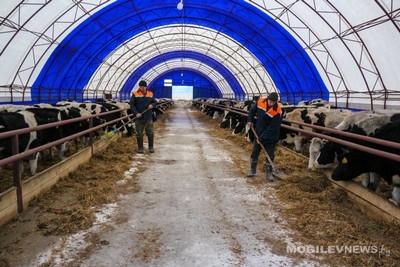 Председатель Могилевского райисполкома — о развитии района, инвестициях и планах на будущий год