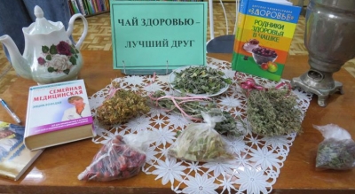 На базе библиотеки микрорайона Колос организована тематическая встреча «Чай здоровью — лучший друг»