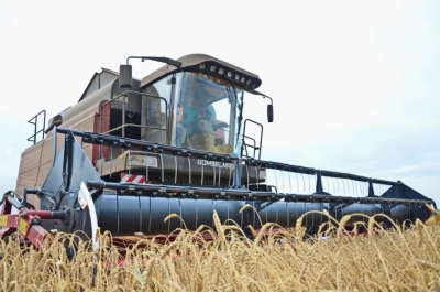 Информация о ходе сельскохозяйственных работ в Быховском районе по состоянию на 15 июля