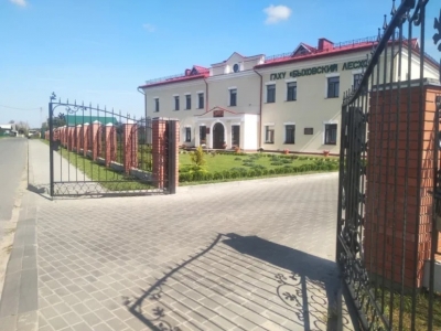 Жителям Быховского района напомнили о запретах в лесу в пожароопасный сезон