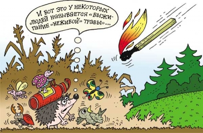 СУХАЯ ТРАВА: ЖЕЧЬ НЕЛЬЗЯ УБРАТЬ