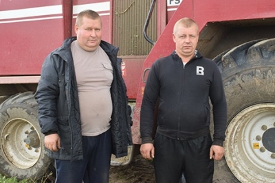 В филиале «Мокрянский» получили рекордную урожайность зерновых и зернобобовых культур