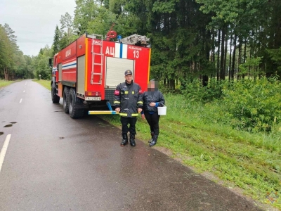 Заблудились в лесу в Быховском районе: помогли спасатели