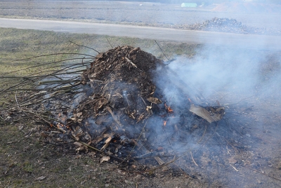 Предупреждение пожаров по причине выжигания сухой растительности