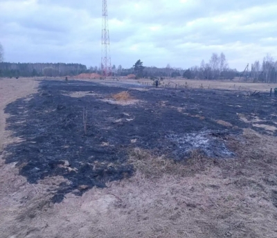 В Быховском районе два человека серьезно пострадали при сжигании сухой растительности