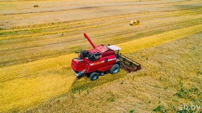 В Беларуси намолочено почти четыре миллиона тонн зерна