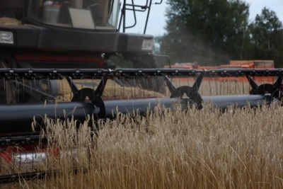 Информация о ходе сельскохозяйственных работ в Быховском районе по состоянию на 26 августа