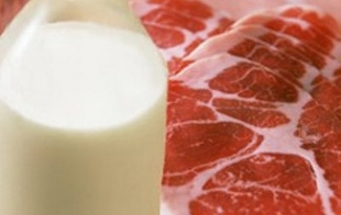 Белорусские мясо-молочные предприятия планируют производить продукцию по стандарту &quot;Халяль&quot;