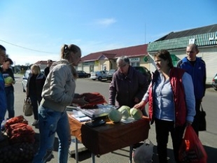 Первая сельхозярмарка прошла в Быхове