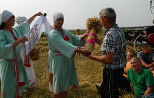 Обряд «Зажинки» состоялся на хлебной ниве ОАО «Володарский»
