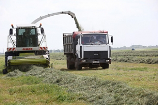 Заготовка трав в Беларуси будет проходить под контролем специальных рабочих групп