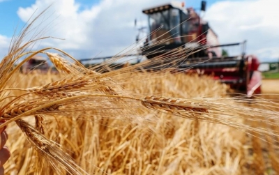 Белорусские аграрии намолотили 4 млн тонн зерна