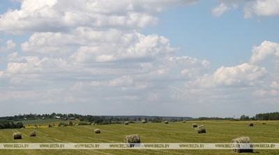 Белорусские аграрии заготовили более 7 млн т сенажа