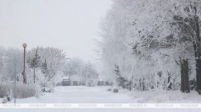 Холода не отступают. Ночью в отдельных районах столбики термометров опустятся до -24&deg;С