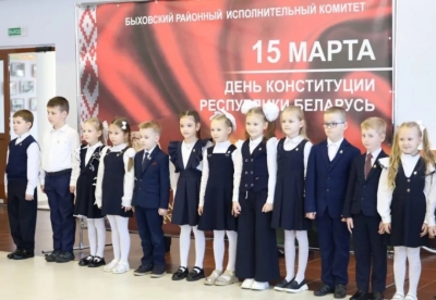 В Быхове прошло мероприятие, посвященное Дню Конституции