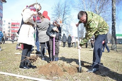 Аллея семейных деревьев появилась в парке «50 лет Победы»