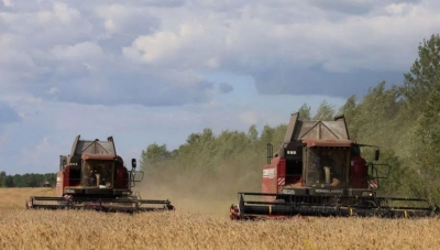 Информация о ходе сельскохозяйственных работ в Быховском районе по состоянию на 12 августа