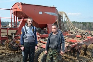 Секреты успешной посевной знают в ОАО «Воронино» Быховского района
