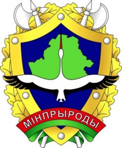 Минприроды призывает отказаться от пластиковых цветов на кладбищах