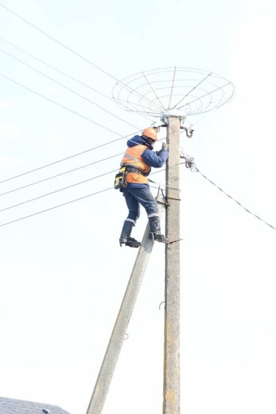 Энергетики Быховского РЭС установили гнездовые платформы для птиц на линиях электропередач