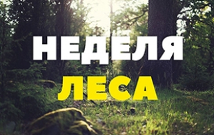 Акция «Неделя леса-2018»