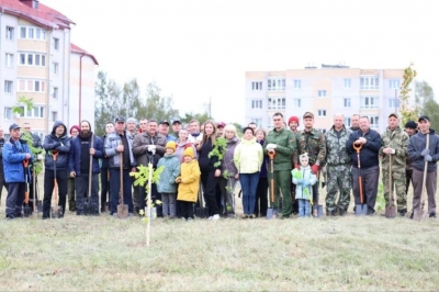 Озеленение в Быхове продолжается