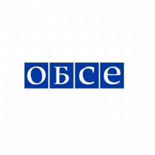 ЦИК удовлетворен предварительным заключением миссии ОБСЕ по наблюдению за выборами - Ермошина