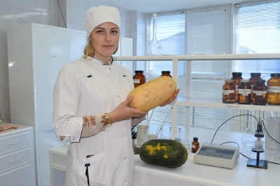 ОАО «Быховский КОСЗ» традиционно активно заготавливает кабачки