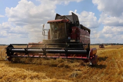 Информация о ходе сельскохозяйственных работ в Быховском районе по состоянию на 18 июля