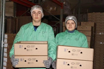 Студенческие отряды от РК ОО &laquo;БРСМ&raquo; работают на многих предприятиях Быховского района