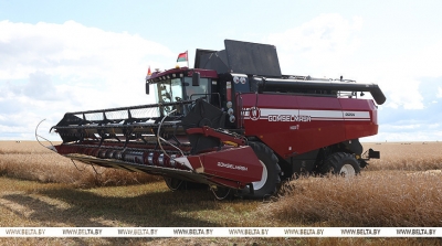 В Беларуси намолотили более 8,3 млн тонн зерна