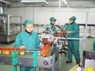 Новую продукцию и упаковку осваивают на Быховском консервно-овощесушильном заводе