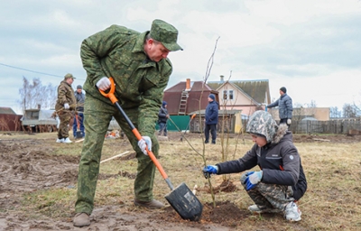 На территории возле замка Сапег высадили молодые саженцы дуба и липы