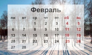 Изменения с февраля 2017: безвизовый режим, БПМ и лицензирование экспорта лесоматериалов