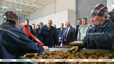 Лукашенко о хранении и реализации картофеля: нужно на полную катушку подключать торговые сети