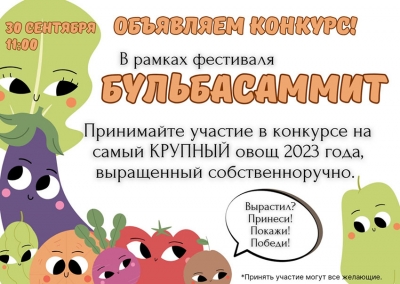 Районный гастрономический фестиваль «Бульбасаммит» пройдет в Быховском районе