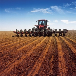 Аграрии пяти областей Беларуси завершили сев ранних яровых зерновых и зернобобовых