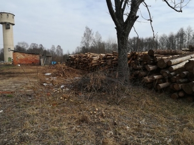 Проведена проверка. Быхов