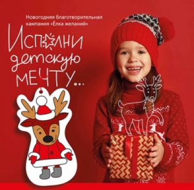 Благотворительная кампания «Елка желаний» проходит на Быховщине