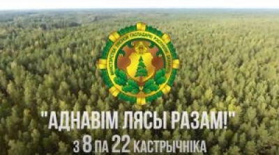 Минлесхоз приглашает добровольцев принять участие в акции «АДНАВІМ ЛЯСЫ РАЗАМ!»