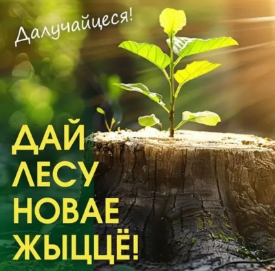 Акция &laquo;Дай лесу новае жыццё!&raquo; пройдет в Беларуси