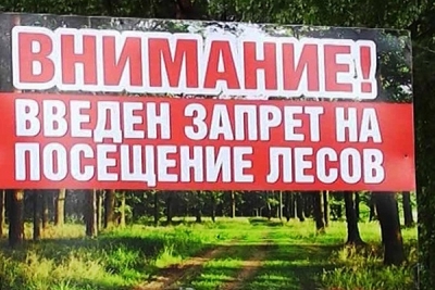 Минлесхоз призывает граждан временно отказаться посещения лесов