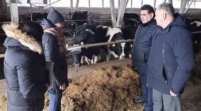 На молочно-товарном комплексе «Новый Быхов» ОАО «Новобыховский» прошел День животновода