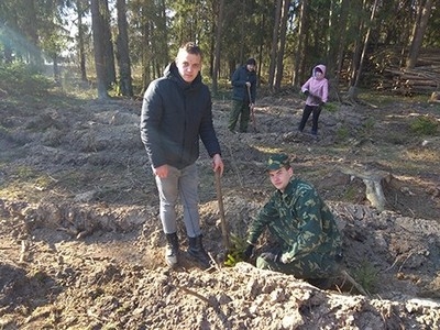 На Быховщине проходит акция «Неделя леса»